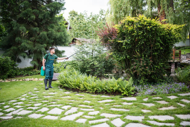Professional Pest Control in Lovejoy, GA