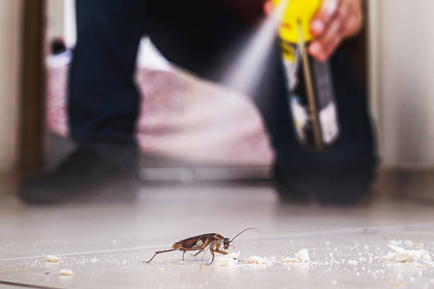 Best Cockroach Control Services  in Lovejoy, GA